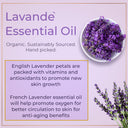 The Lavandé Set